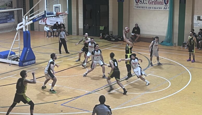 basket